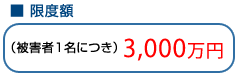 支払限度額