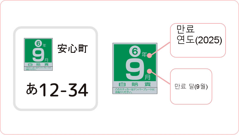 CALI(상호 보험) 가입 방법