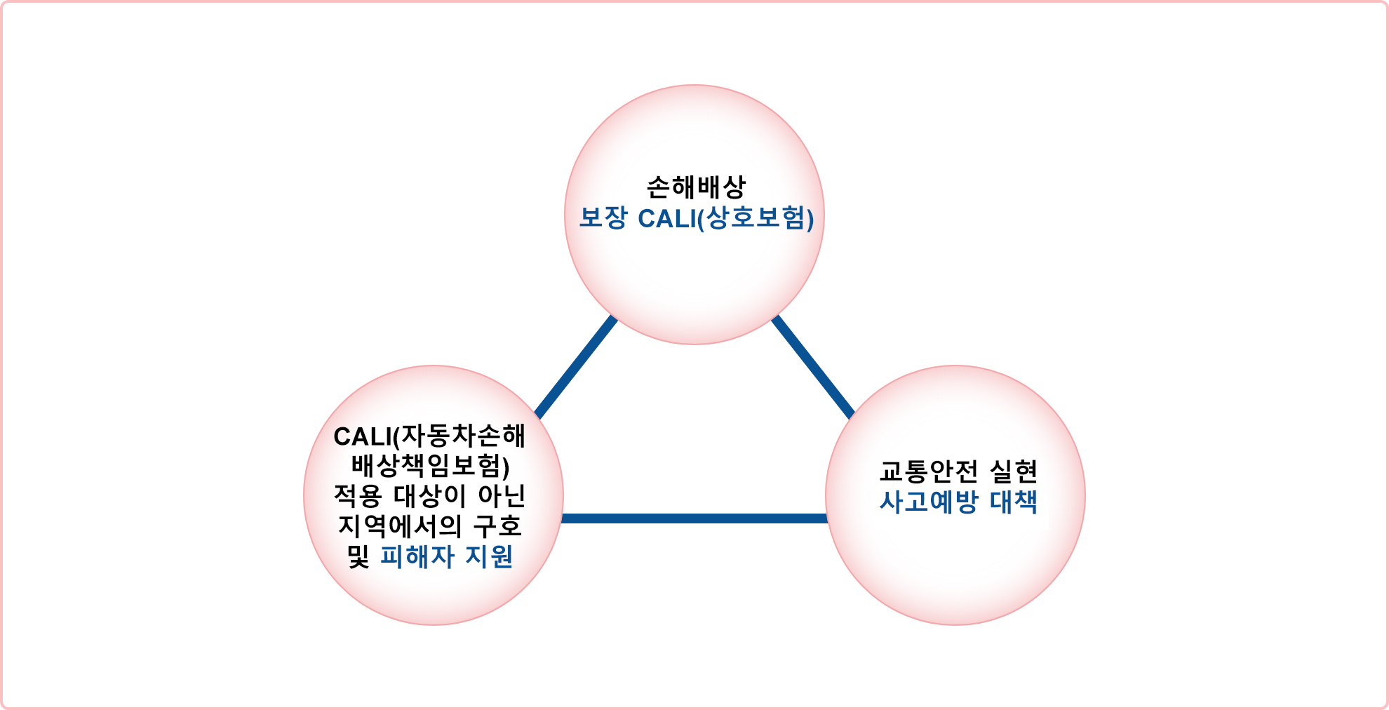 CALI(상호 보험)가 적용되지 않는 지역의 구호, 피해자 지원, 교통 안전 및 사고 예방 대책의 실현, 손해 배상을 보장하기 위한 CALI(상호보험)