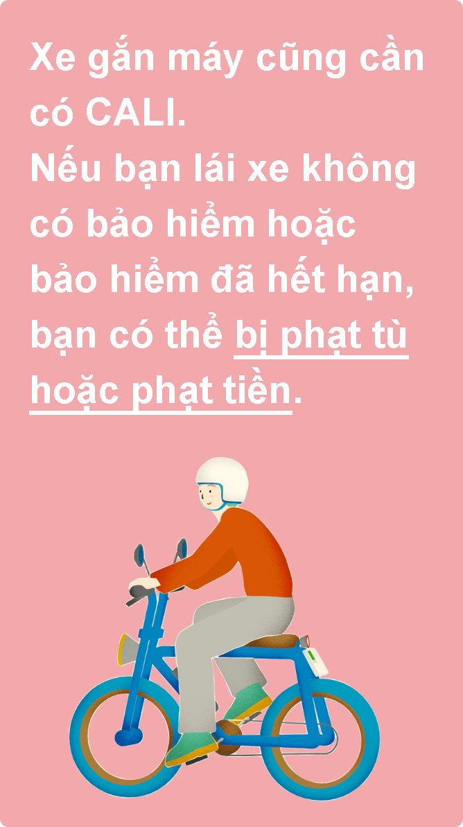 Xe gắn máy cũng phải có bảo hiểm trách nhiệm. Nếu bạn lái xe mà không có bảo hiểm hoặc bảo hiểm đã hết hạn, bạn sẽ bị phạt tù hoặc phạt tiền.