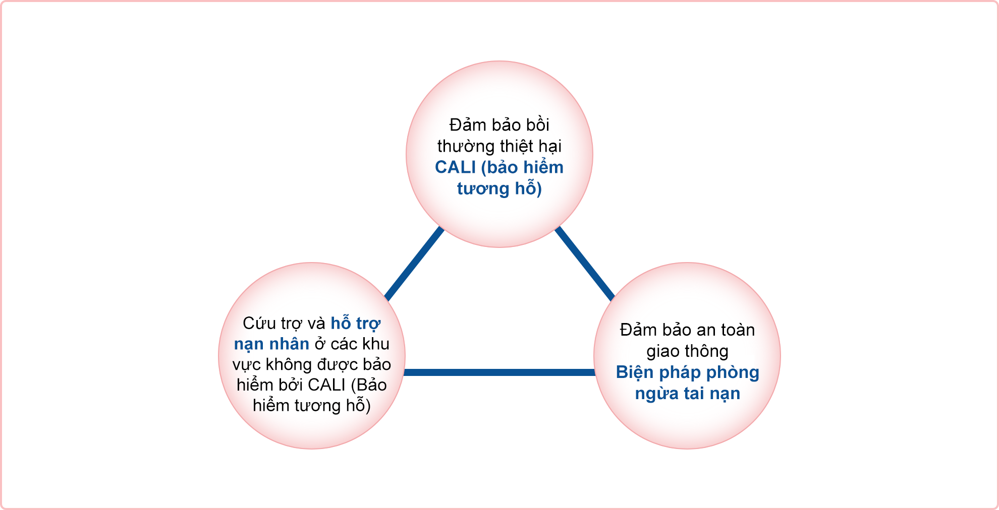 Hỗ trợ tại các khu vực không được CALI (Bảo hiểm tương hỗ) bảo hiểm; hỗ trợ nạn nhân; thực hiện các biện pháp an toàn giao thông và phòng tránh tai nạn; CALI (Bảo hiểm tương hỗ) đảm bảo bồi thường thiệt hại