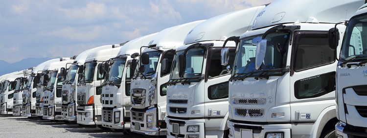 免許の取得・めざせるタイプ