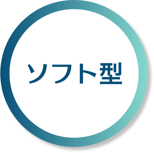 ソフト型