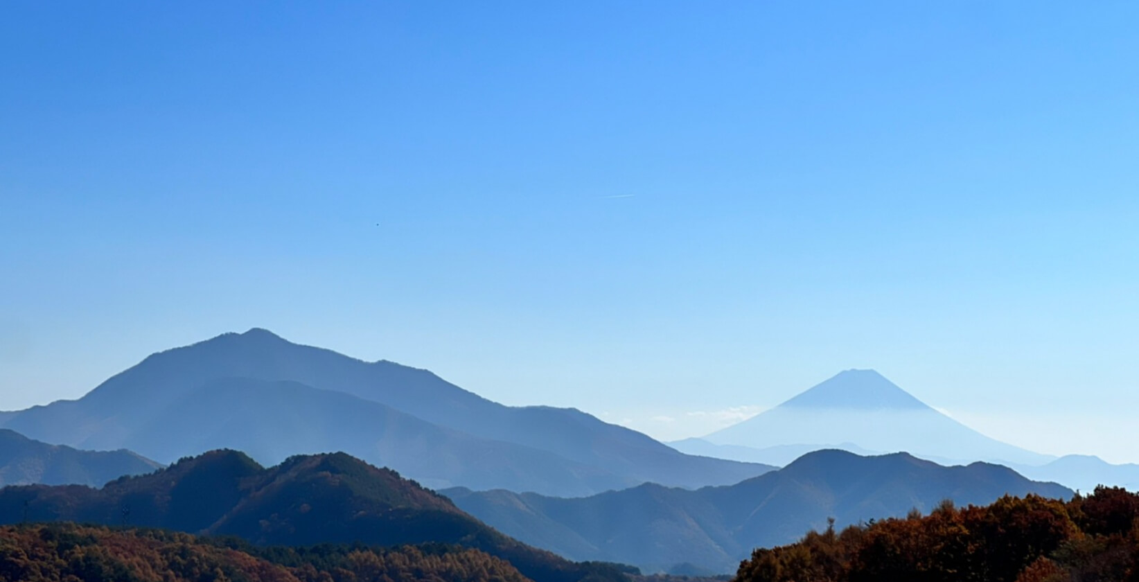準大賞・Tricolage株式会社
