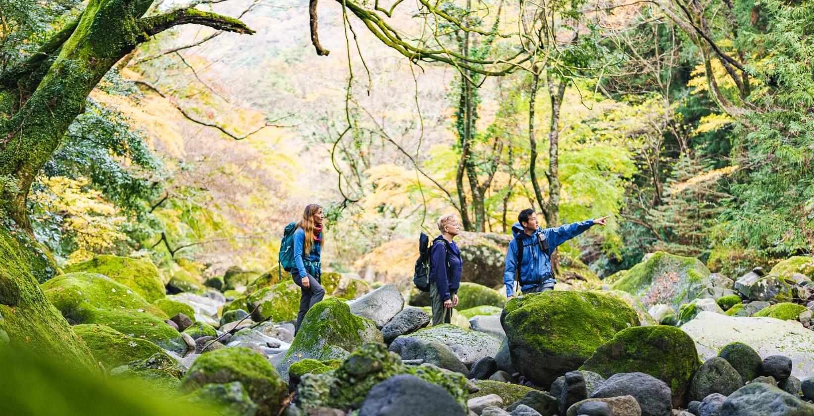 特別賞・株式会社やまぼうし