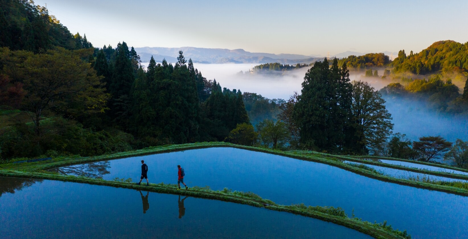 特別賞・株式会社HOME HOME NIIGATA