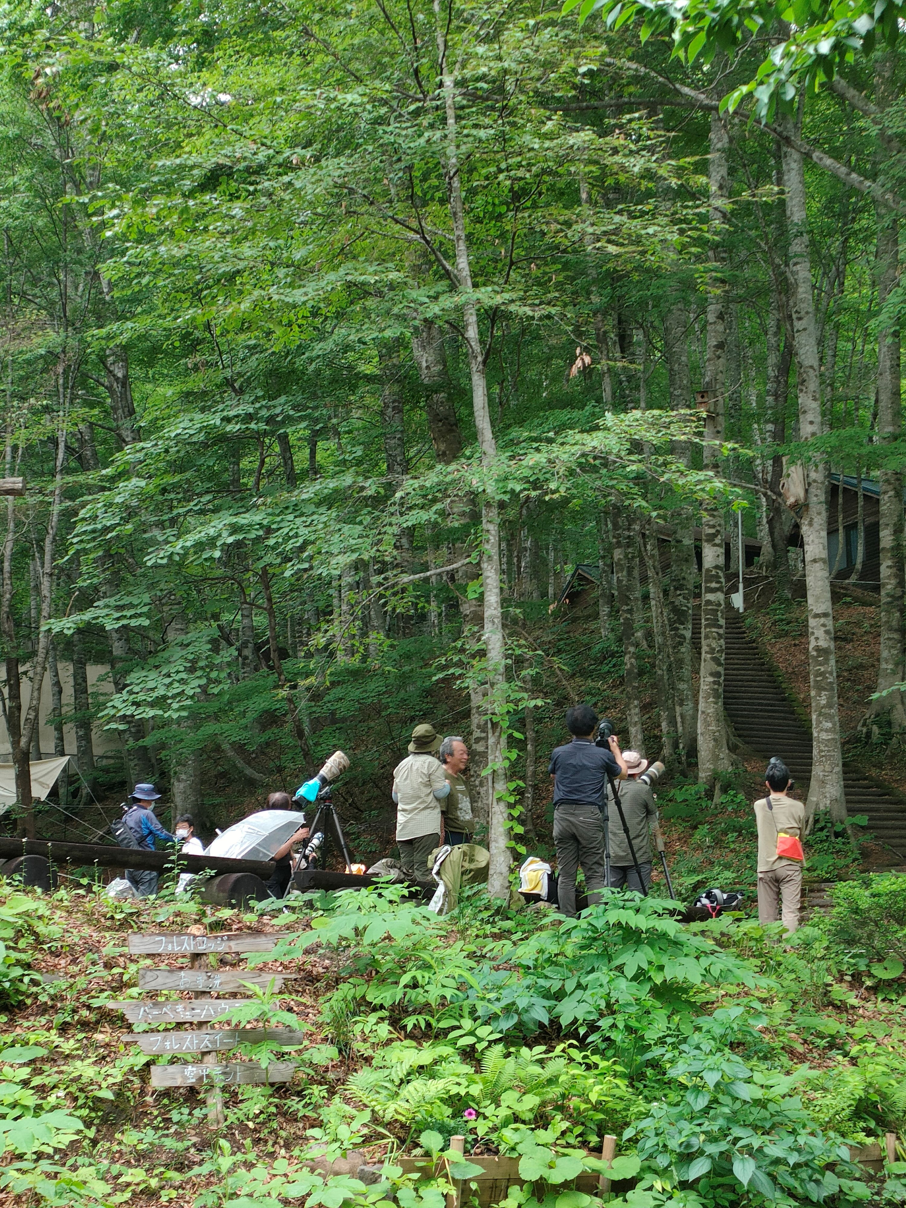 地域未来賞・株式会社エルボスケ、鳥取県八頭町