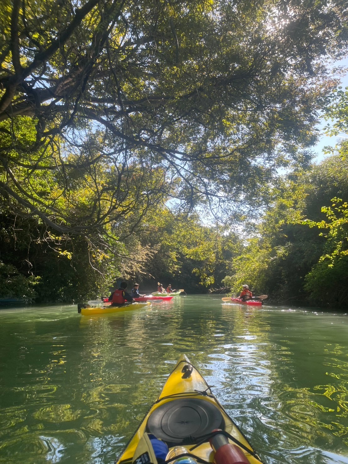 特別賞・一般社団法人NELCrew