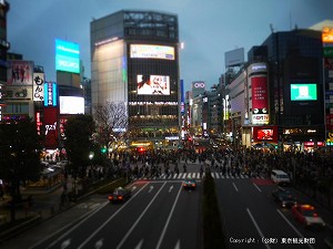 tokyo cruise map