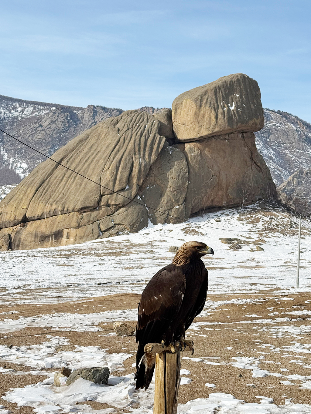 テレルジ国立公園の観光スポット”亀岩”