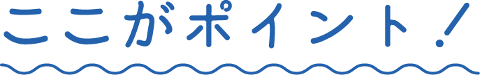 ここがポイント！