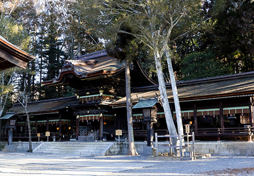 諏訪地域のシンボル｢諏訪大社｣参拝・伝統神事｢御柱祭｣について学ぶ