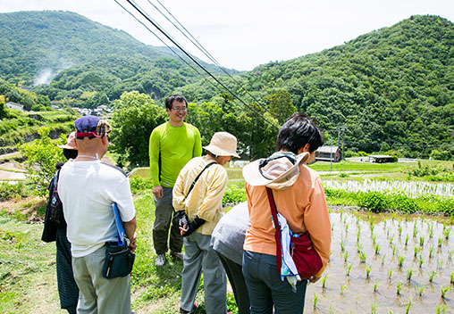 中山千枚田を散策しながら小豆島の自然と中山地区の営みを体感