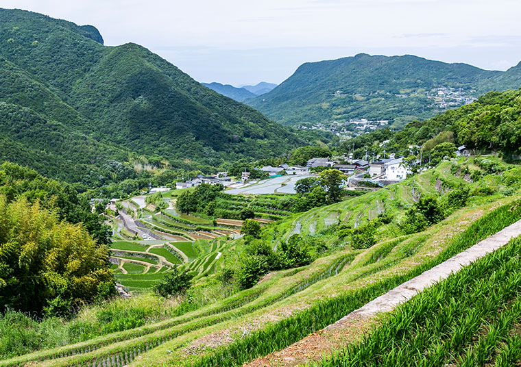 日本遺産・箱根八里で古の旅路の追体験 ～地元民の語りが深める箱根の歴史と文化～