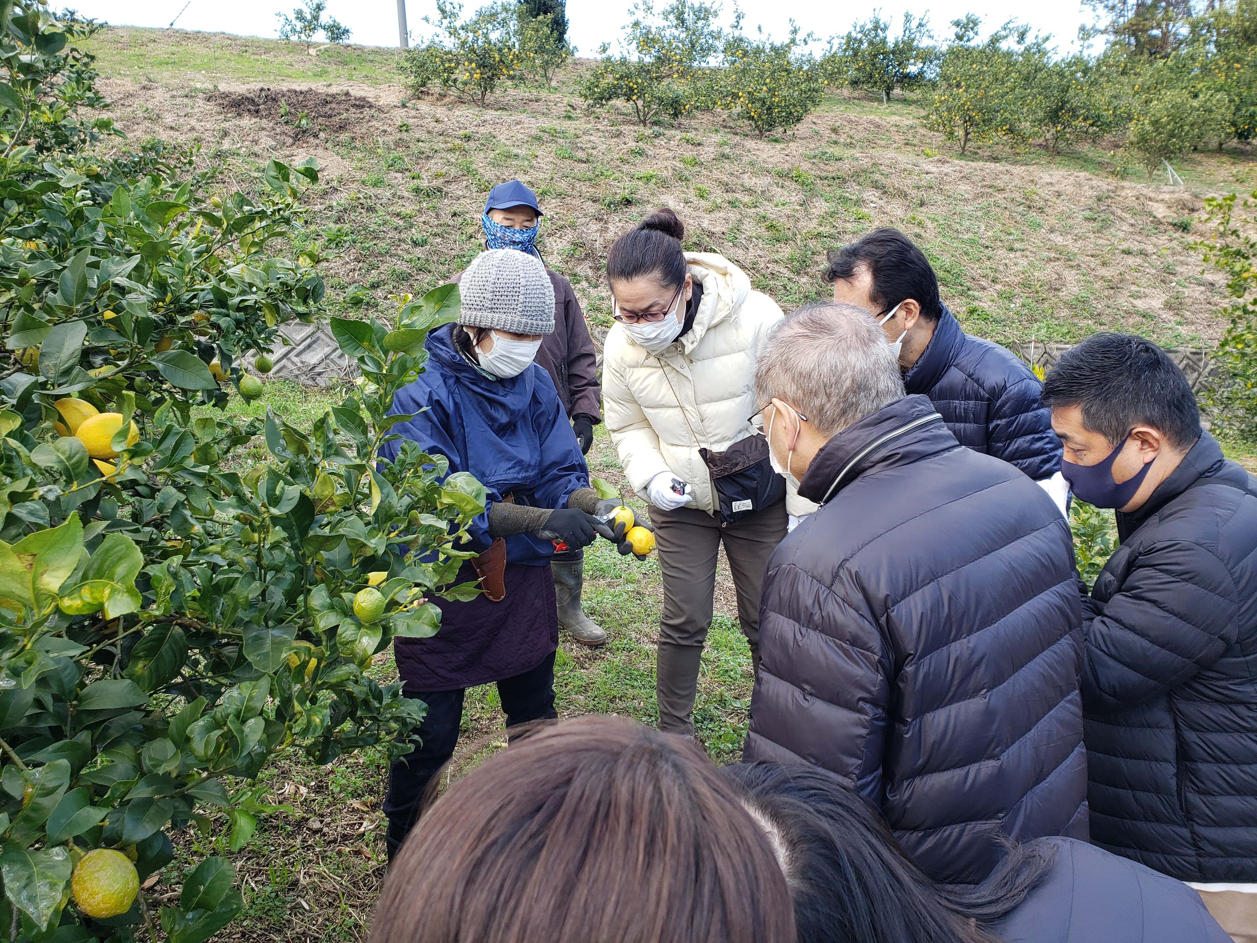 サイクリングで有名な町ですがそれ以外にも魅力がある今治市の観光資源のポテンシャルの高さがよくわかりました