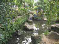 庭園や水路