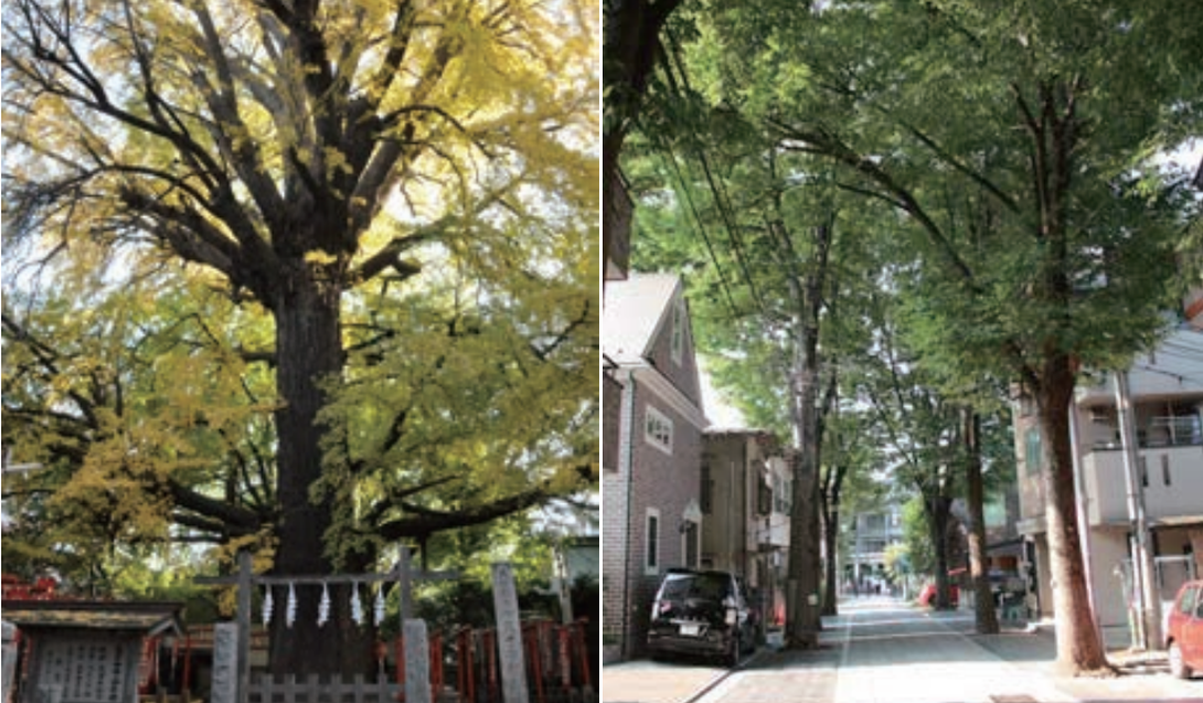 豊島区の景観まちづくり
