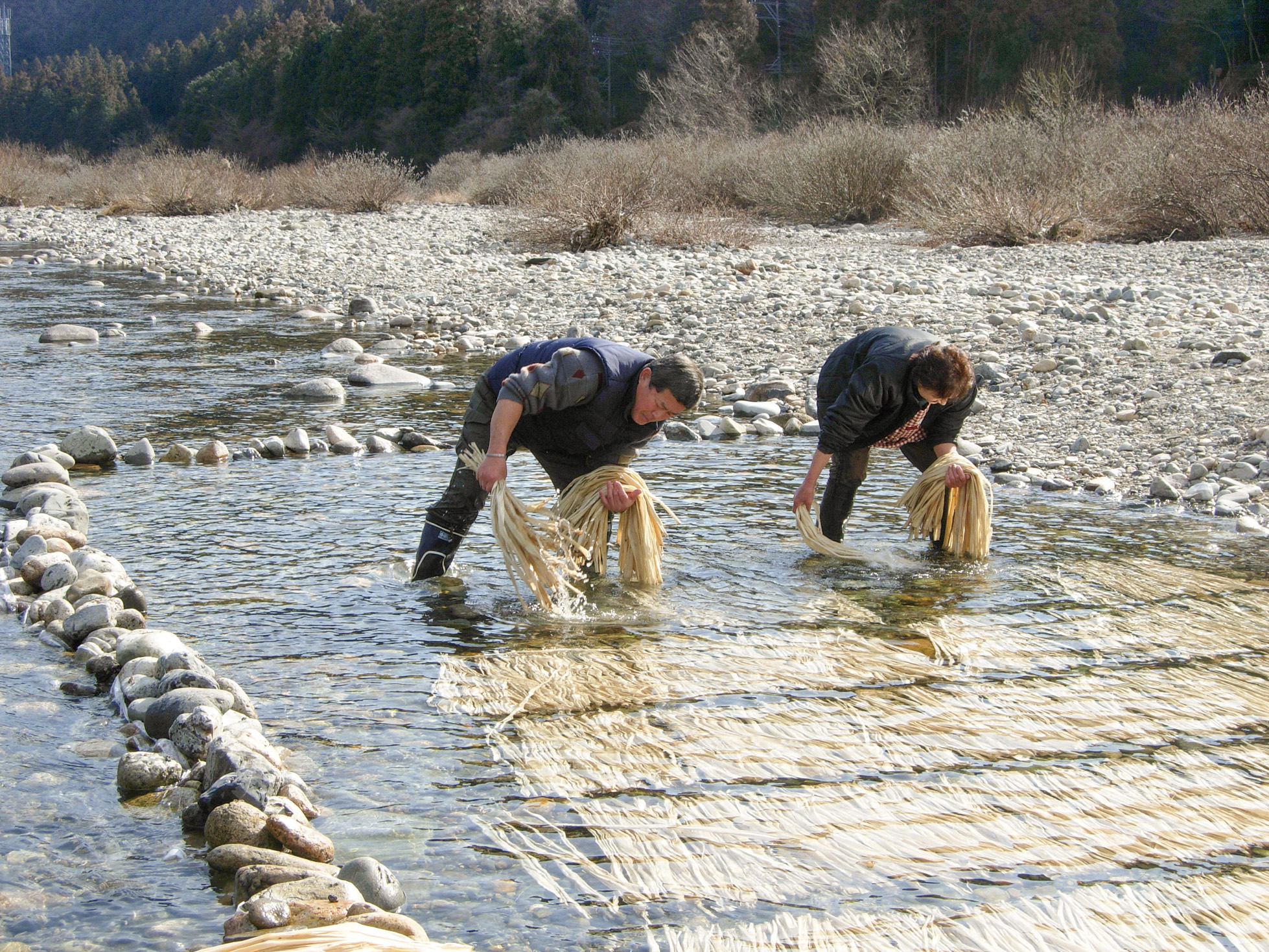川さらしの様子