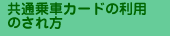 ʏԃJ[h* ̗p̂