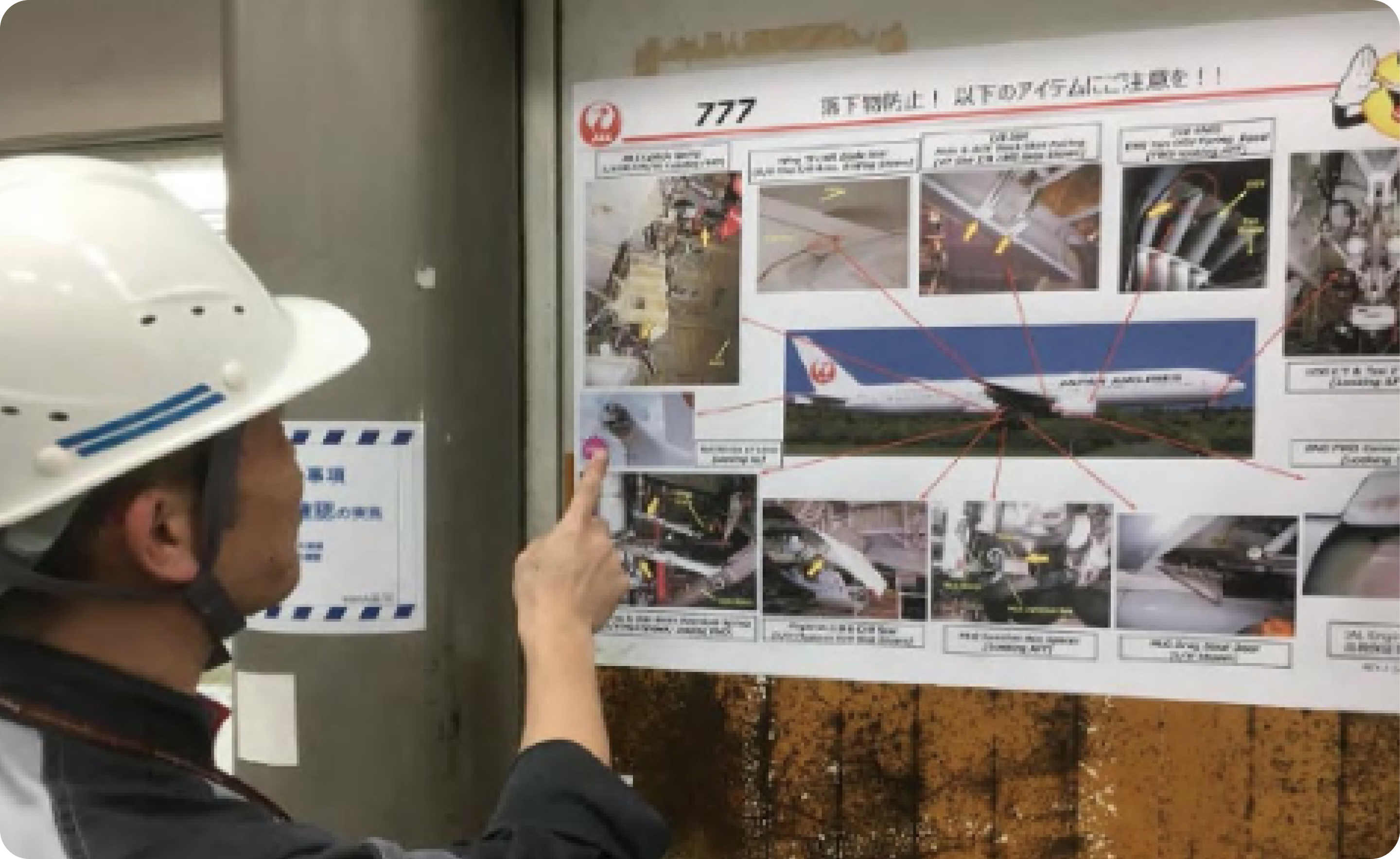 航空会社の取組状況