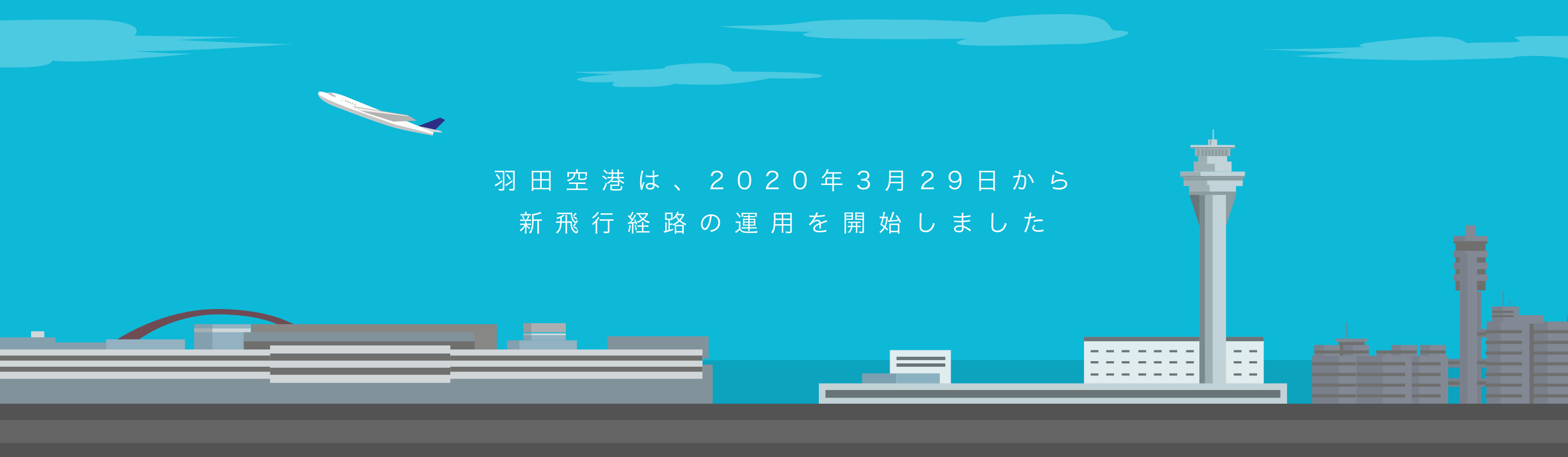 の これから 空港 羽田 世界から見た「日本の空港」の可能性と未来とは？ 成田空港に暗雲の予測、転換期に明暗を分けるポイントを航空専門家に聞いてきた｜トラベルボイス（観光産業ニュース）