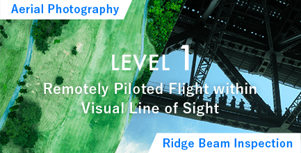 レベル1 目視内で操縦飛行 空撮 橋梁点検