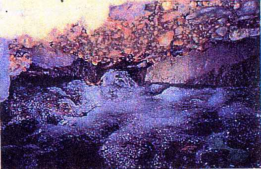fig.6-2