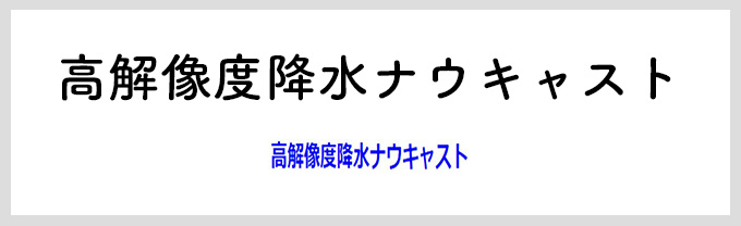 高解像度降水ナウキャスト