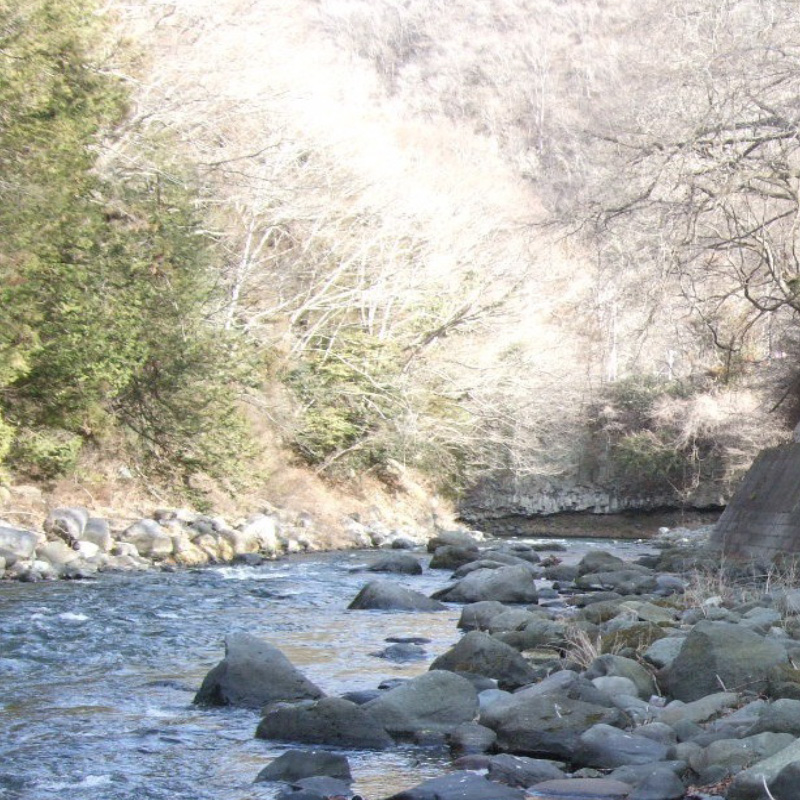 桂川(山梨県)