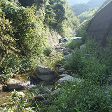 氏の宮川(香川県)
