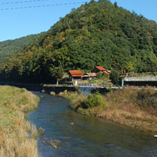 阿武川（山口県）