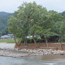 雫石川（岩手県）