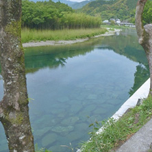 新荘川（高知県）