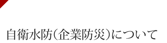 国土交通省 水災害に関する防災・減災対策本部　自衛水防（企業防災）