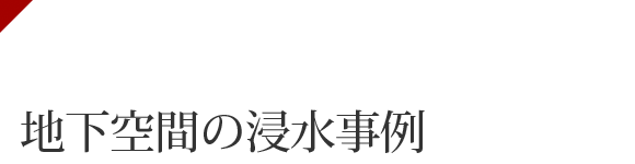 国土交通省 水災害に関する防災・減災対策本部　自衛水防（企業防災）