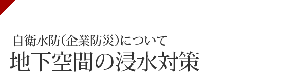 国土交通省 水災害に関する防災・減災対策本部　自衛水防（企業防災）