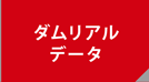 ダムリアルデータ