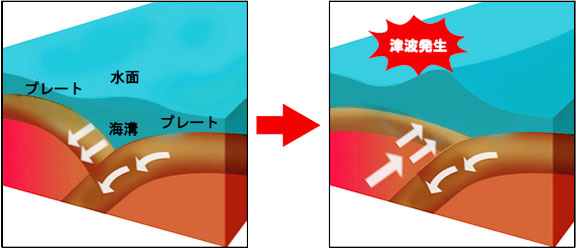 海底地盤の動きと津波の発生