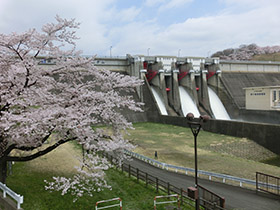 四十四田ダム ～春は桜、秋は紅葉が楽しめるダム～