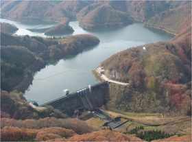 大日川ダム ～大日川の大自然に触れて、疲れた体と心を癒しにきませんか。体長1.0mの草魚に逢えるかも？～