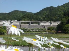 三宝ダム ～生活貯水池の先駆け～