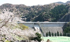 諭鶴羽ダム ～春には満開の桜、初夏には飛び交う蛍～