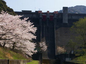 ます渕ダム～緑の中を快適にサイクリングできるダム