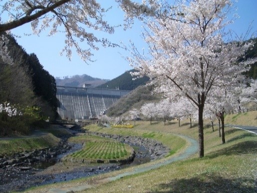 松田川ダム ～ダム直下に公園が整備されているダム～
