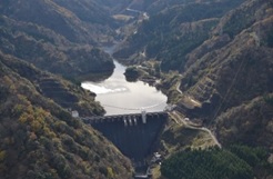 熊野川ダム〜富山県固有の植物(ｴｯﾁｭｳﾐｾﾊﾞﾔ)が自生する山間に佇むダム〜