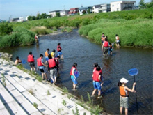 漁川水辺の楽校（かわ塾の様子）