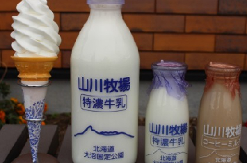 写真:種類豊富な乳製品！