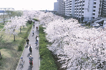 下平井水辺の楽校