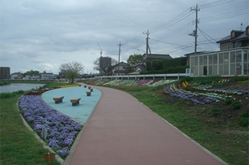 四季折々の草花