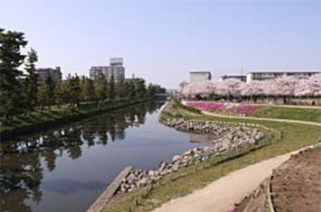 「八万人の夕涼み」夏まつり